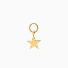14k Gold Shining Star Earring Charm - Starflower Design