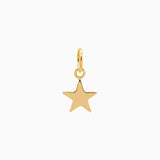 14k Gold Shining Star Pendant Charm - Starflower Design