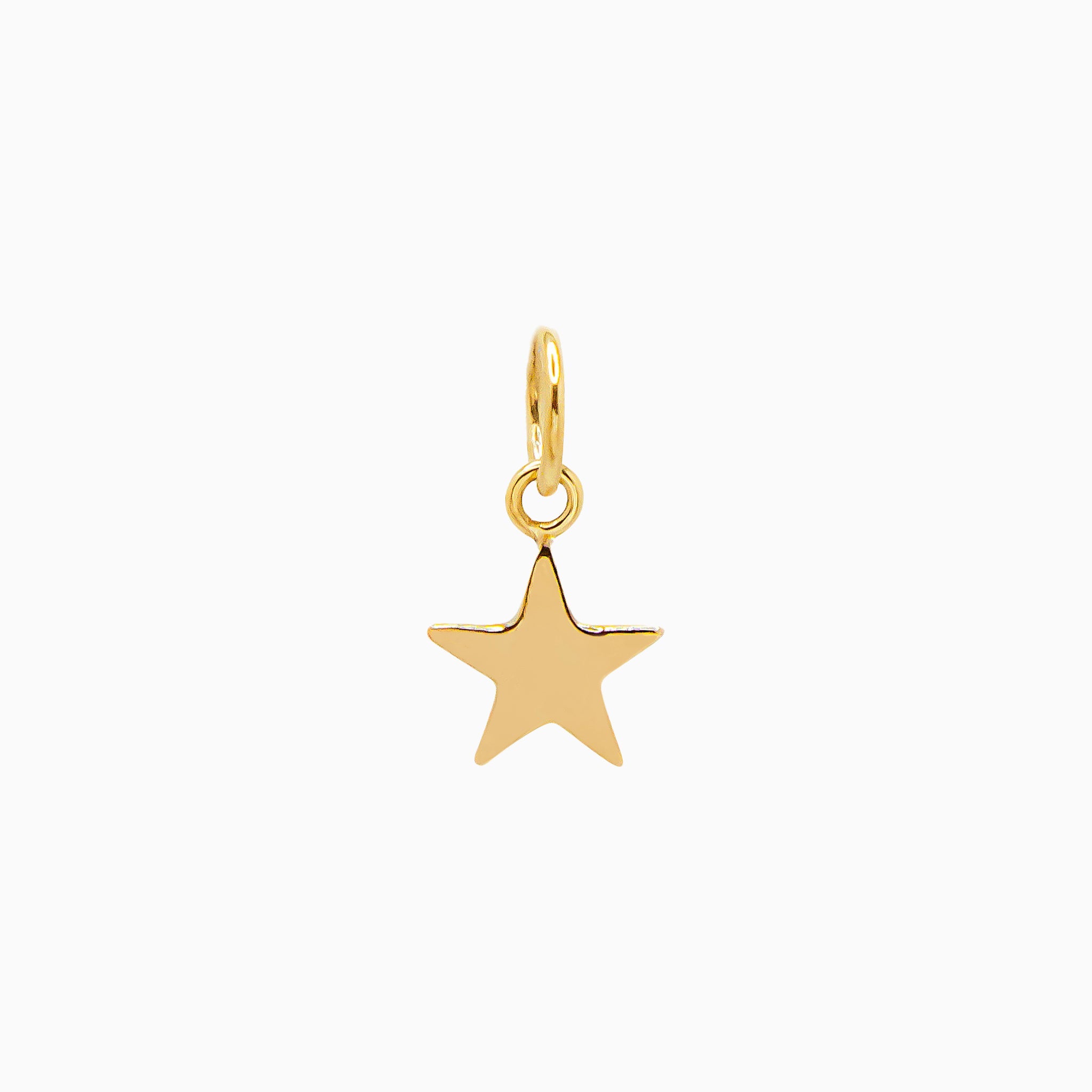 14k Gold Shining Star Pendant Charm - Starflower Design