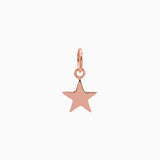 14k Gold Shining Star Pendant Charm - Starflower Design
