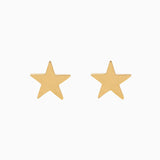 14k Shining Star Earrings - Starflower Design