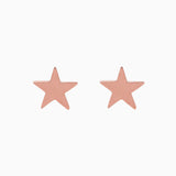14k Shining Star Earrings - Starflower Design