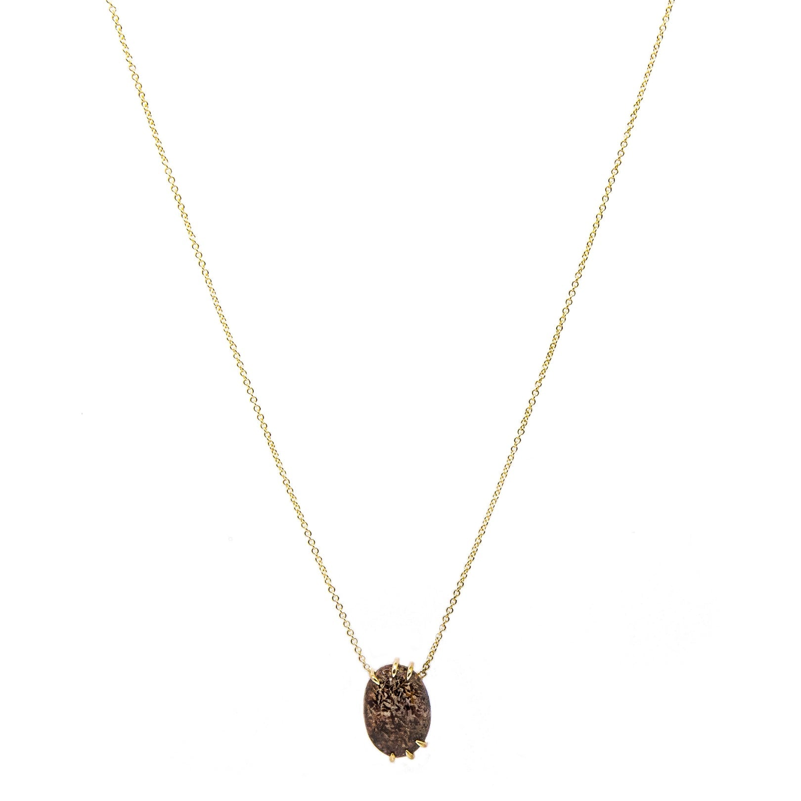 14k Clever Girl Raptor Claw Dinosaur Bone Necklace - Starflower Design