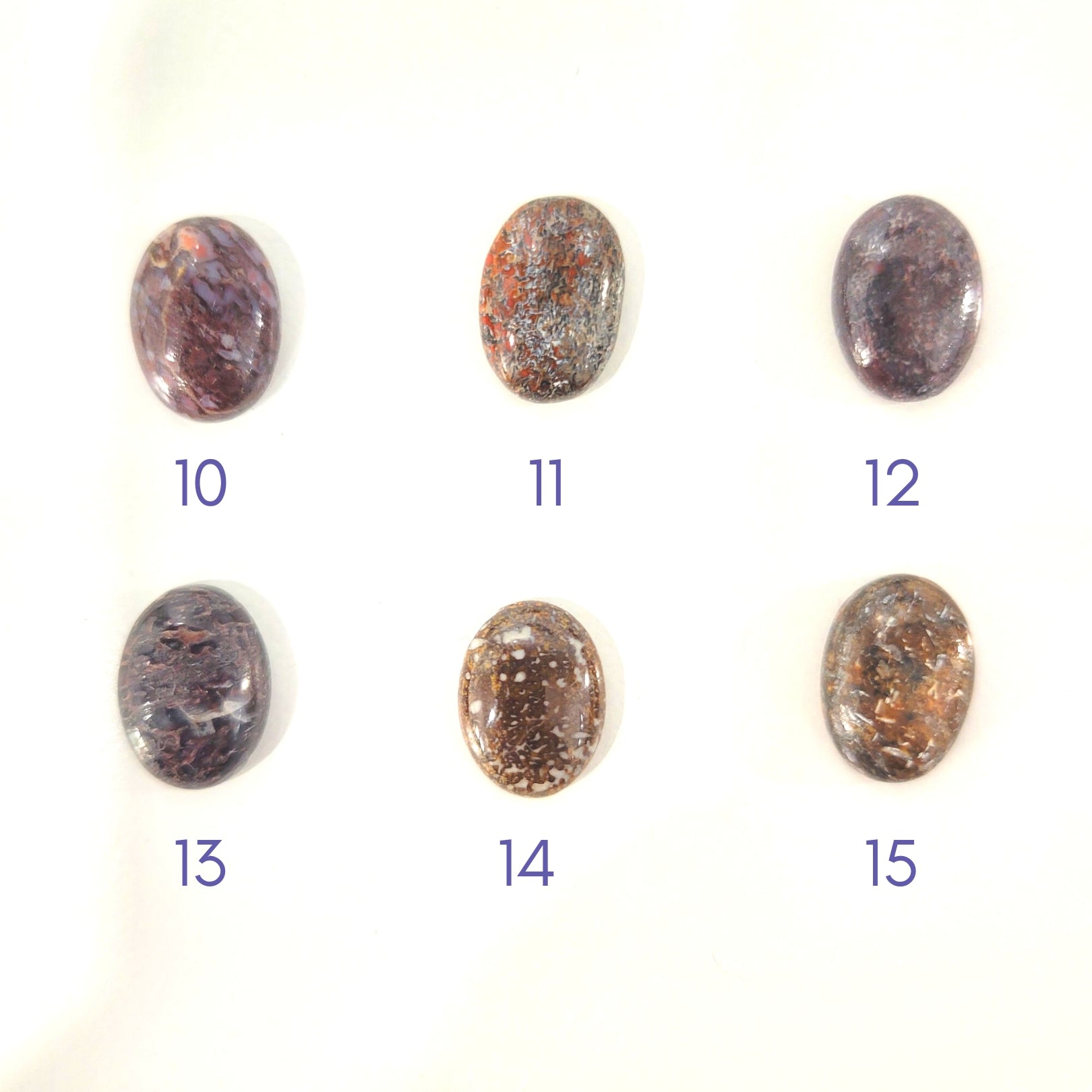 14k Clever Girl Raptor Claw Dinosaur Bone Necklace - Starflower Design