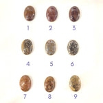 14k Clever Girl Raptor Claw Dinosaur Bone Necklace - Starflower Design