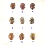 14k Clever Girl Raptor Claw Dinosaur Bone Necklace - Starflower Design