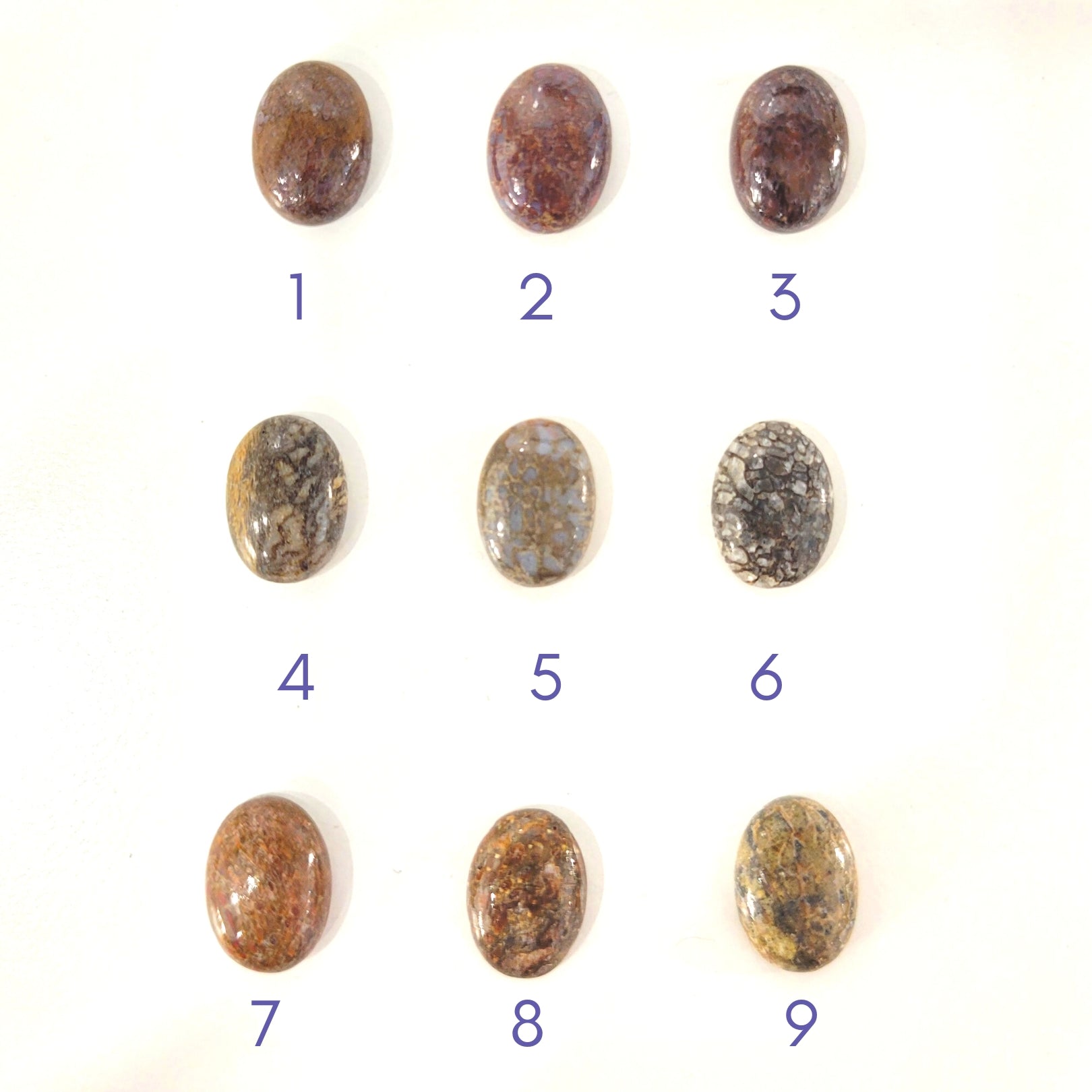 14k Clever Girl Raptor Claw Dinosaur Bone Necklace - Starflower Design