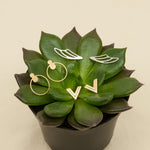 14k Double Chevron Earrings - Starflower Design