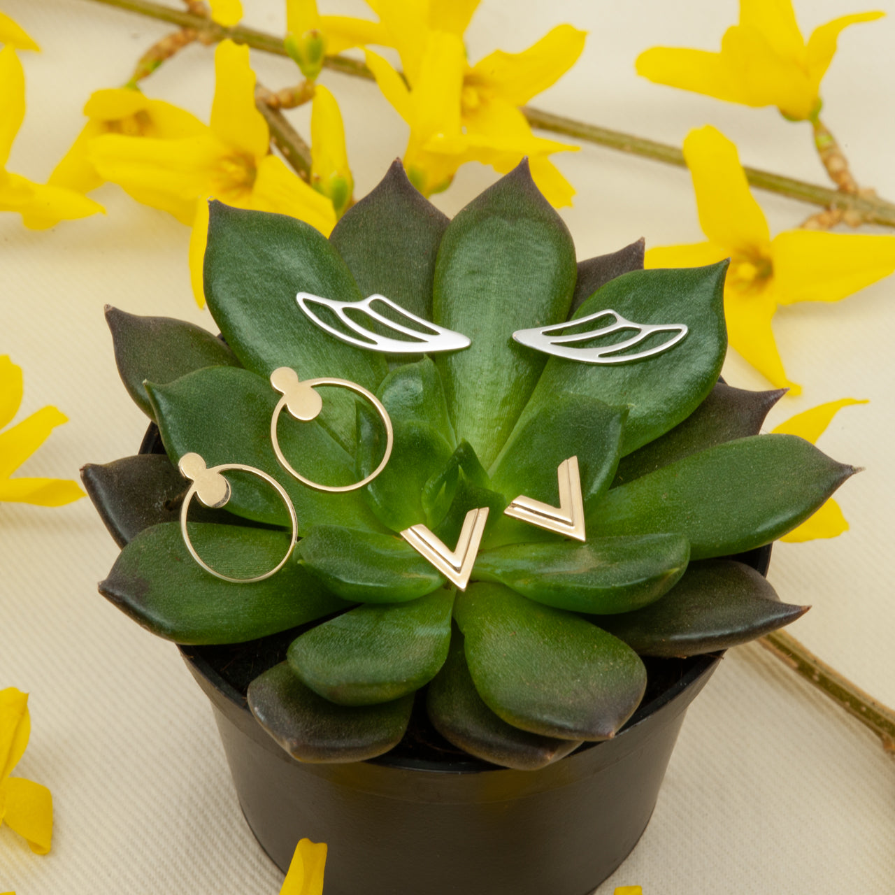 A selection of Starflower’s earring offerings displayed on a succulent.